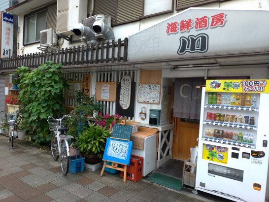 三国の海鮮酒房 川でワンコイン500円のカツ丼はヒレカツです！