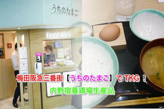 梅田阪急三番街【うちのたまご】でTKG！内野宿養鶏場生産品